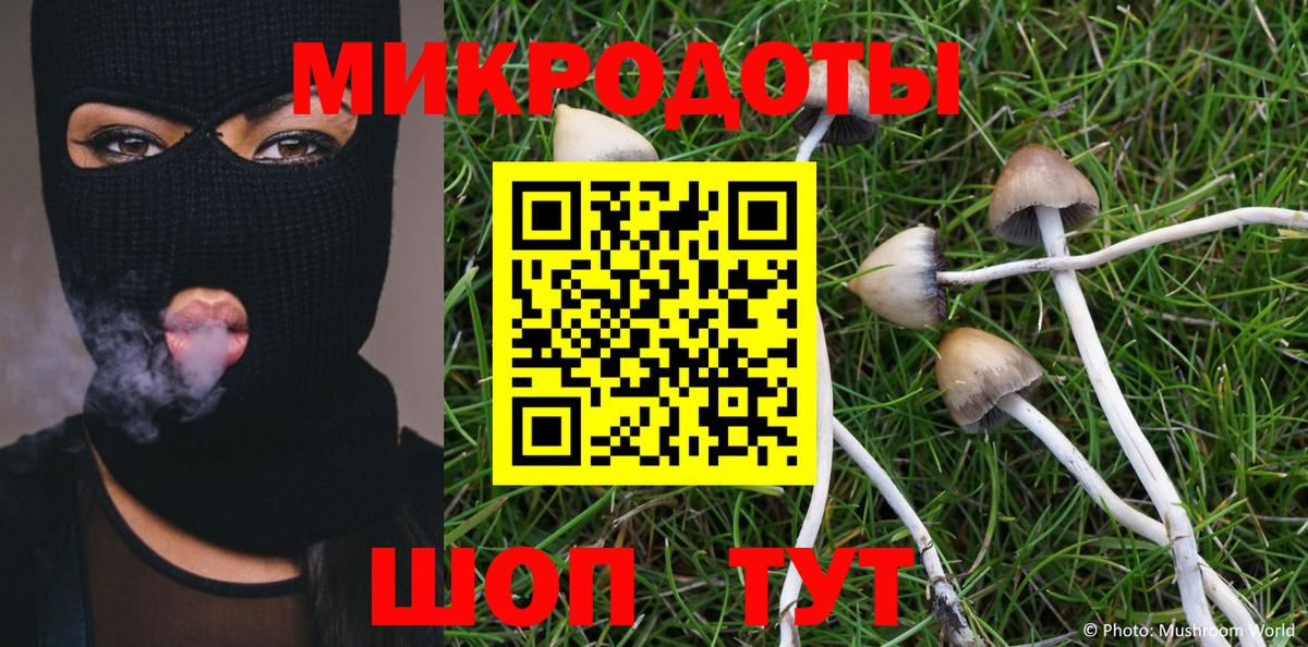 Галлюциногенные грибы ЛСД  Галлюциногенные грибы GOLDEN TEACHER  магазин  наркотиков  Ижевск 