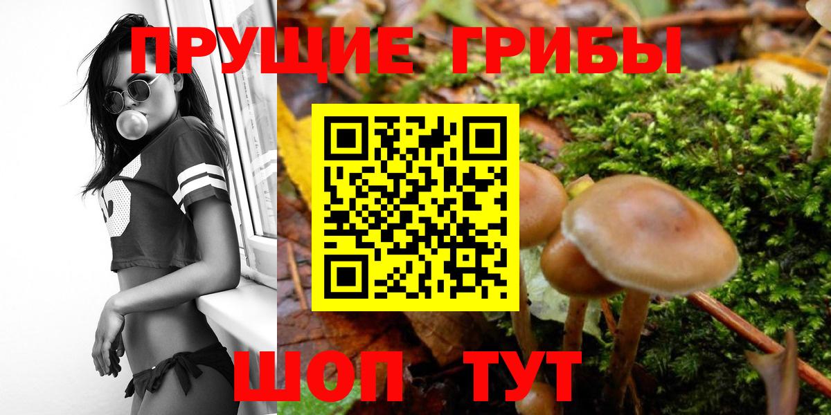 БУТИРАТ Ижевск