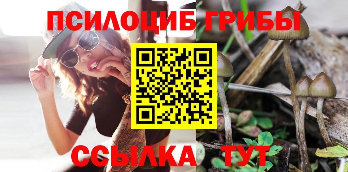 Псилоцибиновые грибы мицелий Ижевск